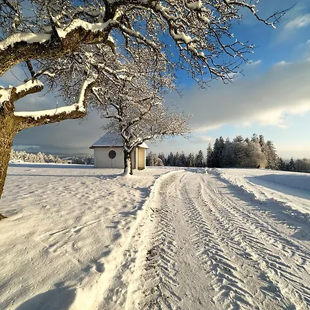 Vakantiehuis Modernes Familien Tiny House - & Sternenhimmel Inklusive!